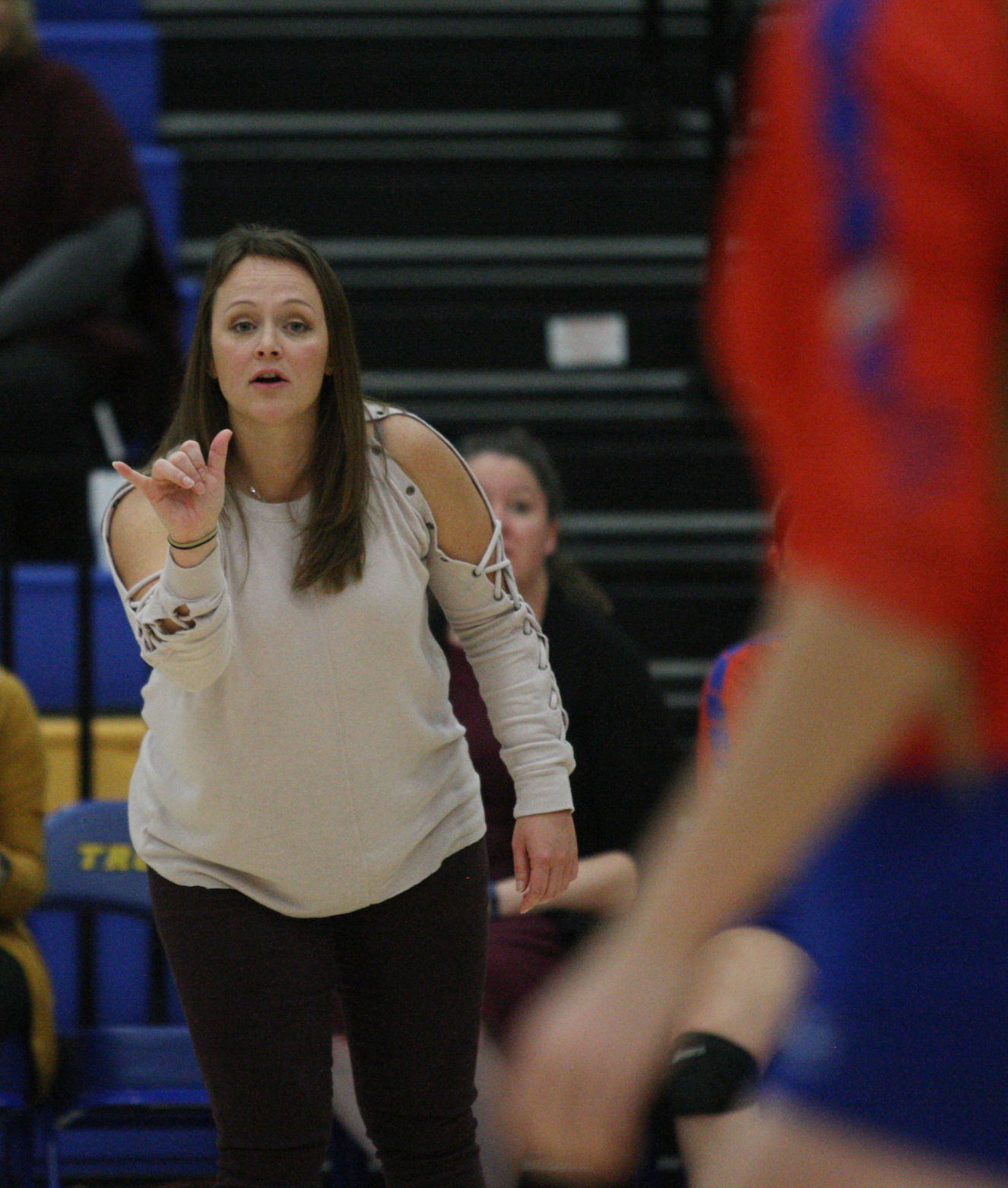 AO vs WL volleyball 27 10.23.17.jpg